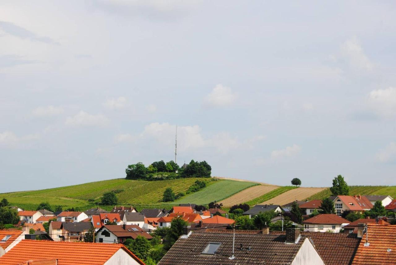 Ferienwohnung Kirchbergblick Hackenheim Exteriör bild